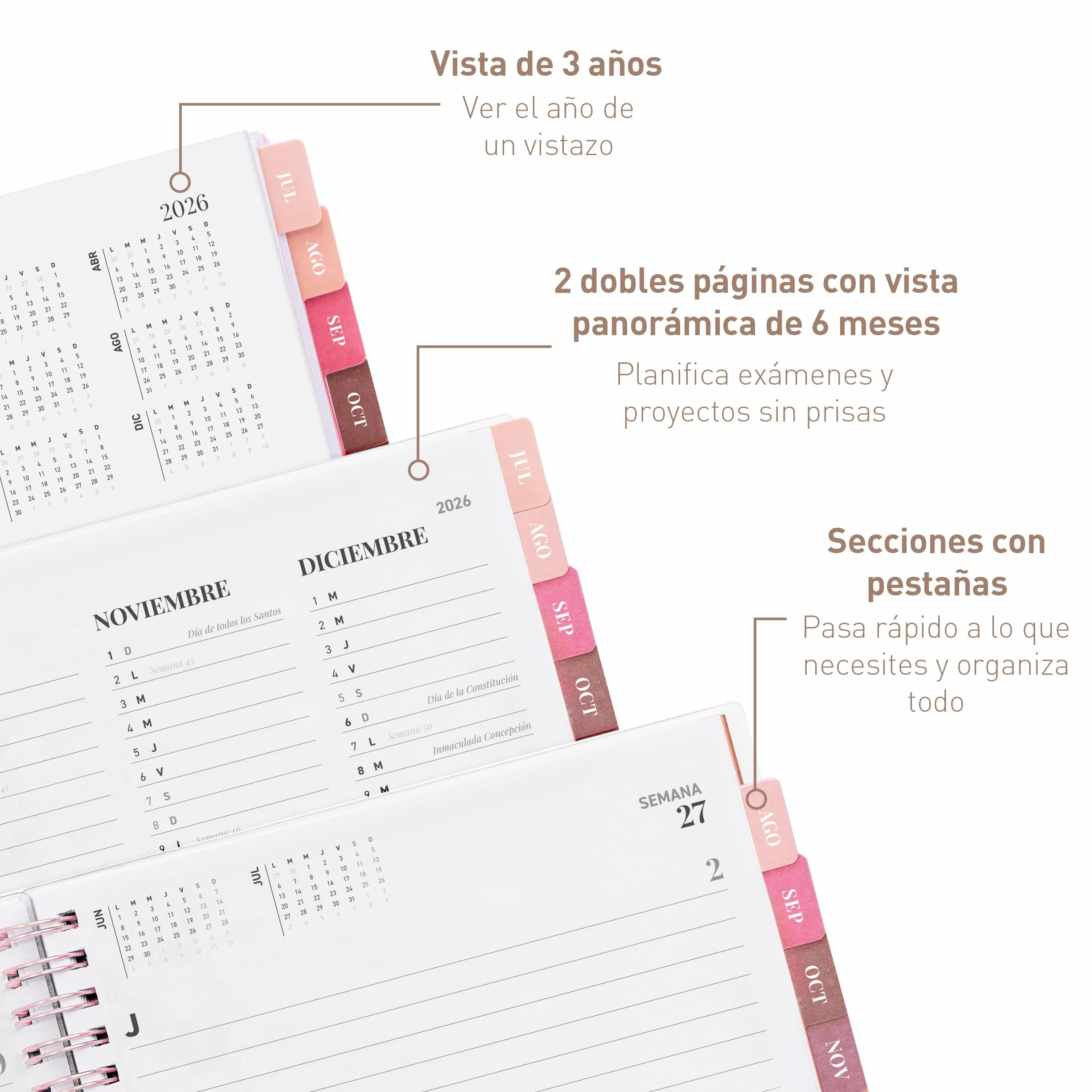 Agenda Escolar 2026–2027 Rileys, Planificador Diario Académica con Anillas, 20 × 15 cm Rosa Tipográfico