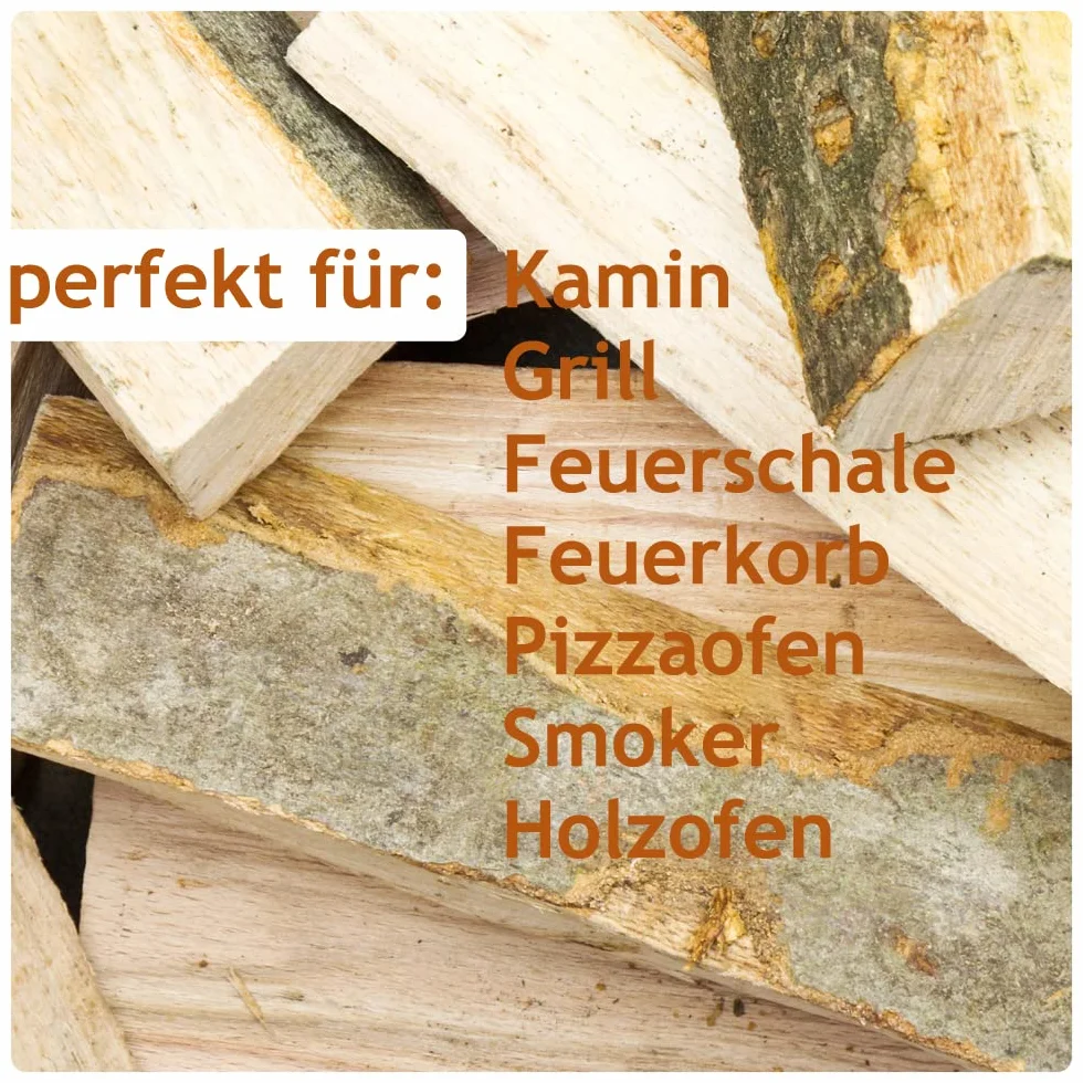 Leña Madera 50 kg para Estufa y Chimenea Brasero Parrilla Cesta de Fuego Troncos de Madera de Haya 30 cm Flameup