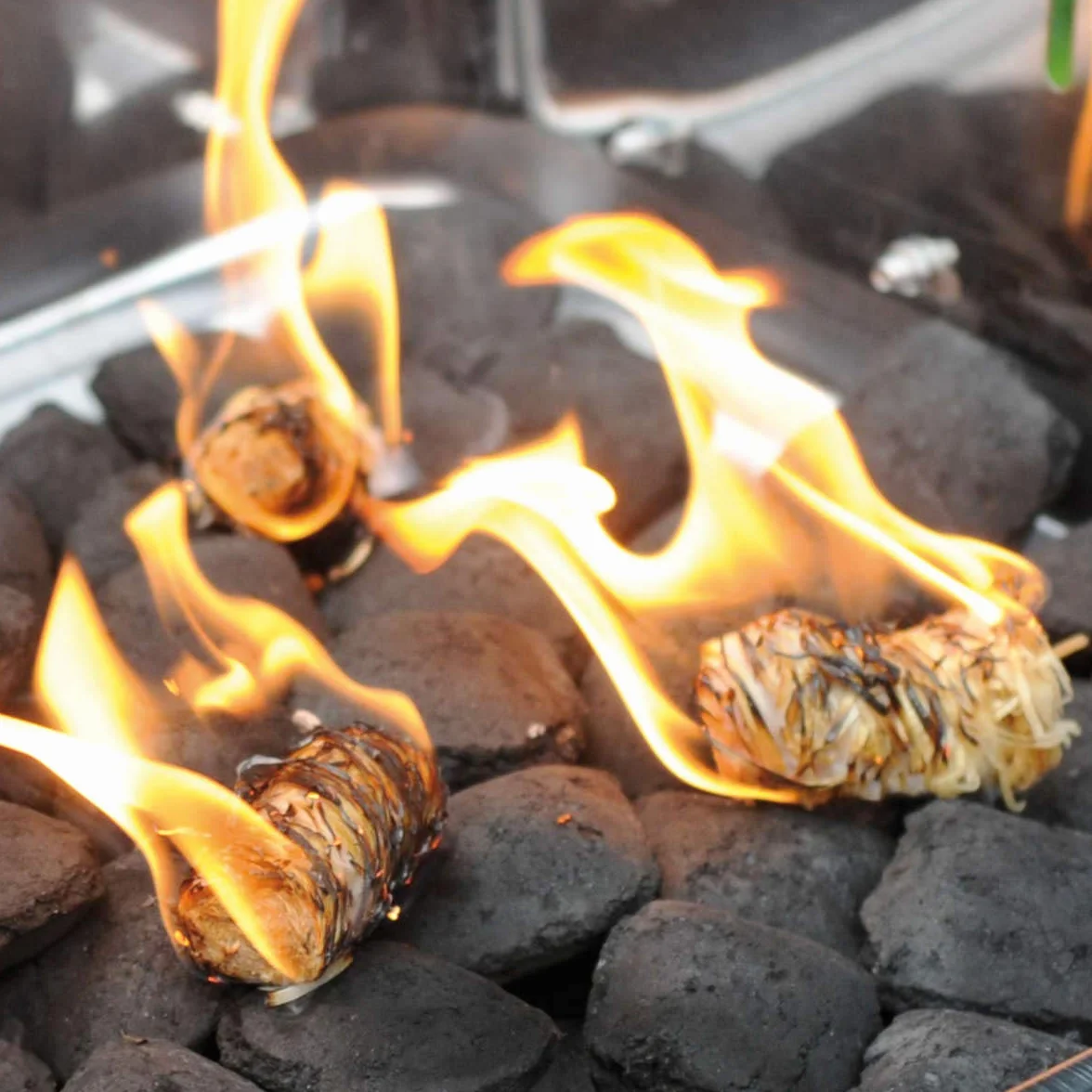 FABRIKVERKAUF (10 kg / 800 Piezas) Encendedor ecológico para chimeneas y barbacoas - Madera Natural y Cera Vegetal - Lana de leña, Pastillas de Encendido - Ideal para Chimenea, Estufa, Fuego, Fogatas