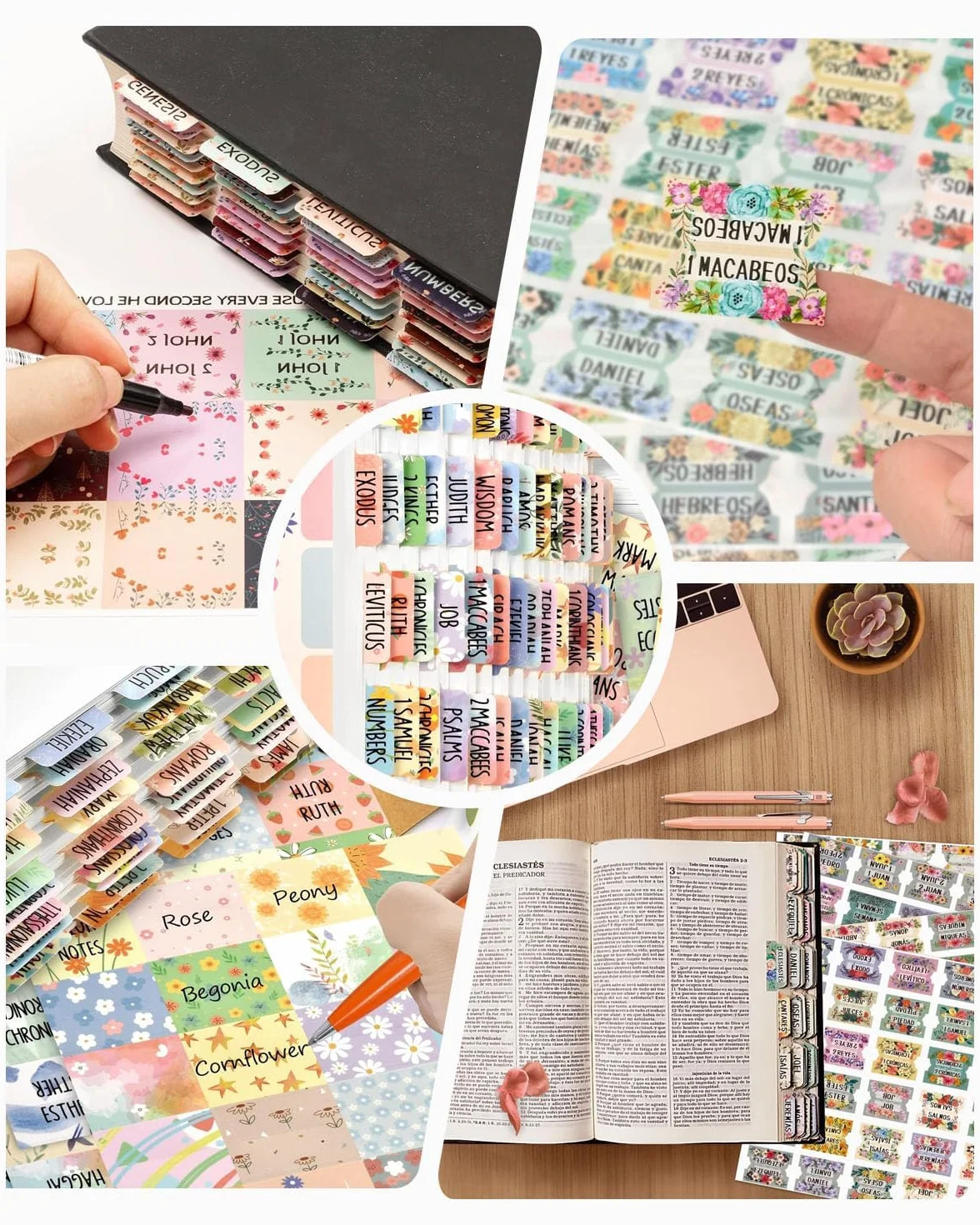 Pestañas de la Biblia para mujeres, 5 hojas, rosa, laminadas, Antiguo y Nuevo Testamento