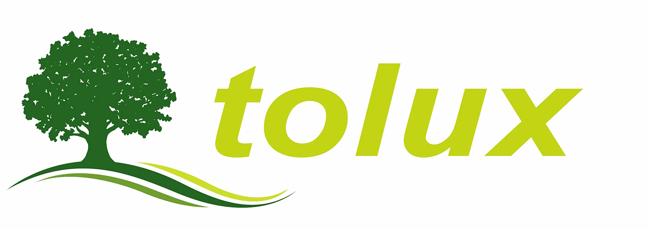 Tolux Galletas de Madera tamaño número 20, Pack de 1000 piezas, Galletas de Lamello, Galletas de Ensamble, Clavijas de Madera de Haya de la para Carpinteros y proyectos de bricolaje