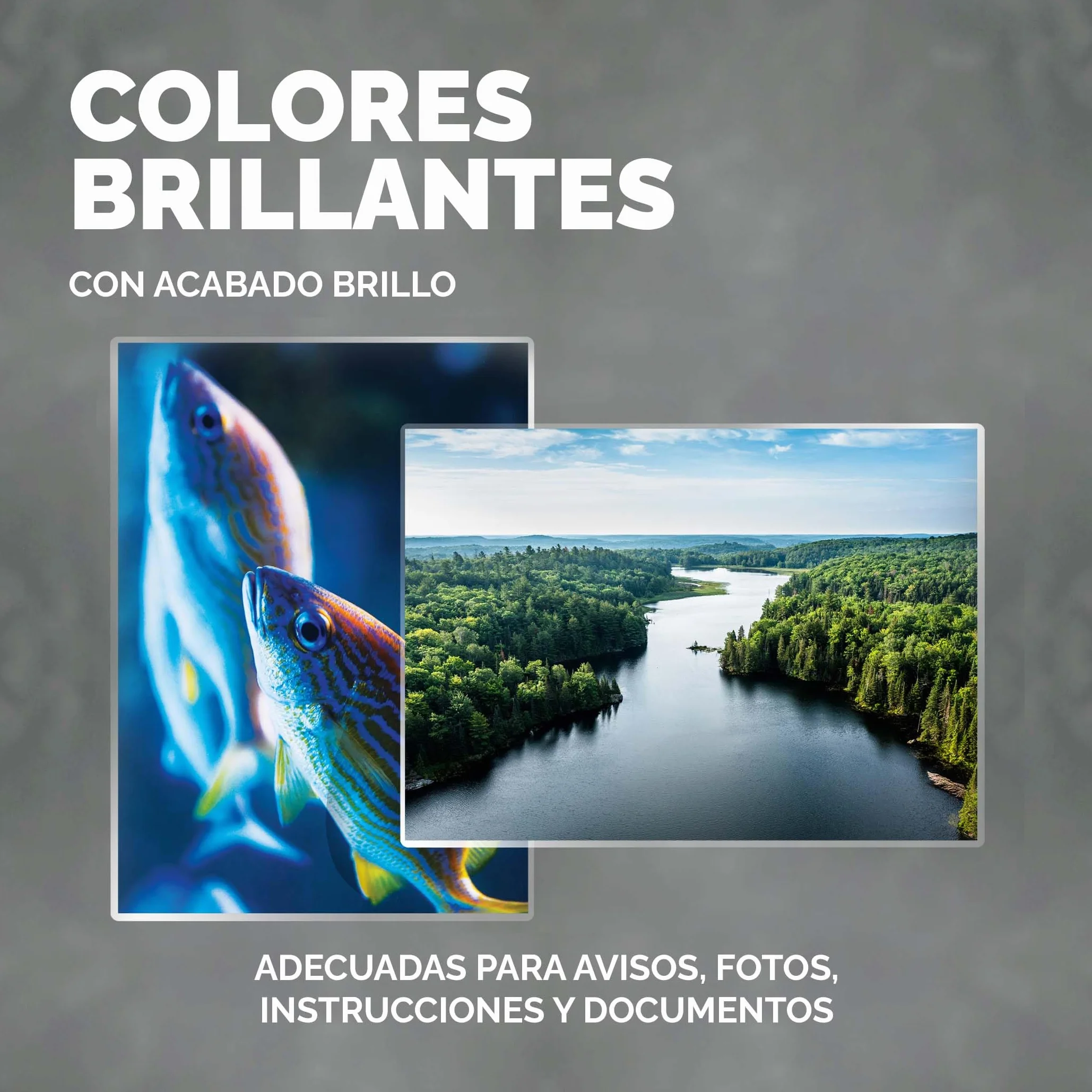 Fellowes Apex Fundas de Plastificar A4 125 Micras Brillo Pack 100