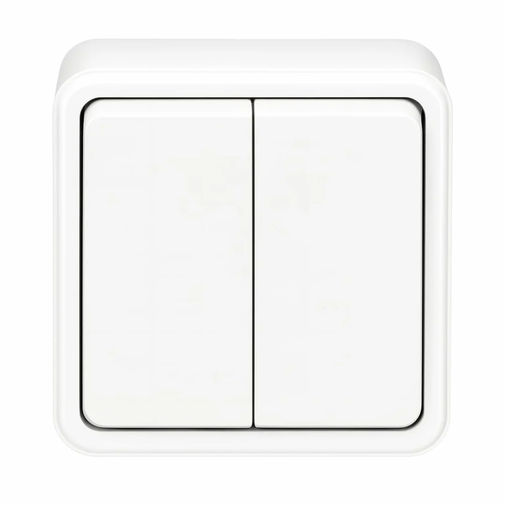 Mecanismo Superficie Policarbonato Blanco 10A 250V Doble Interruptor
