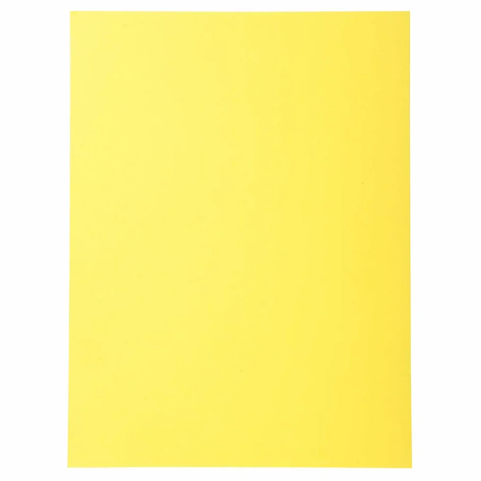 Exacompta 420005E Lote 100 Subcarpetas Forever 180 Amarillo