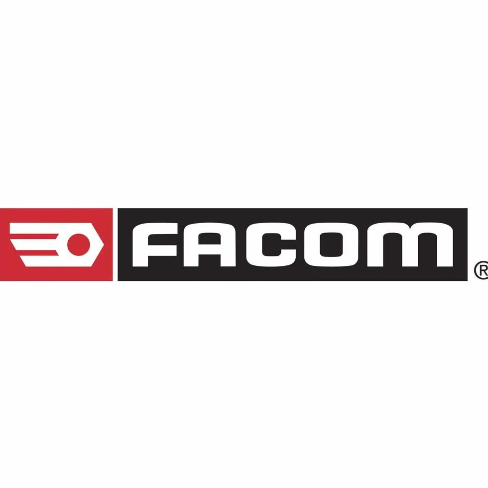 Facom 205C.50 - MARTILLO DIN MANGO GRAFITO 500G