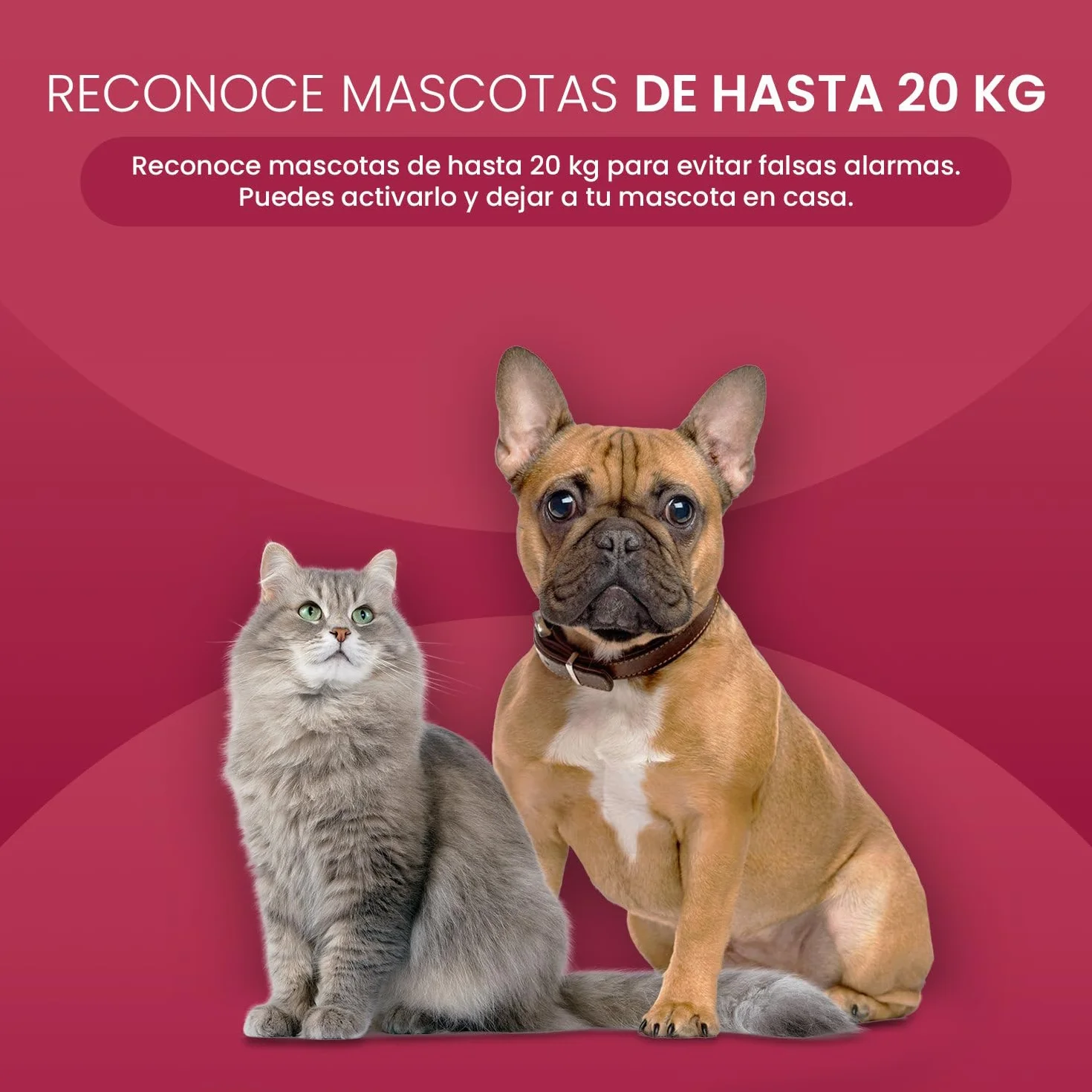 Kit Alarma Casa con Aviso al Movil, Sistema de Alarma para Casa WiFi y 4G gsm sin cuotas con Pantalla Táctil 4.3” y Batería de 1500 mAh, Aplicación Tuya Smart Life, Alexa, SQ4324C