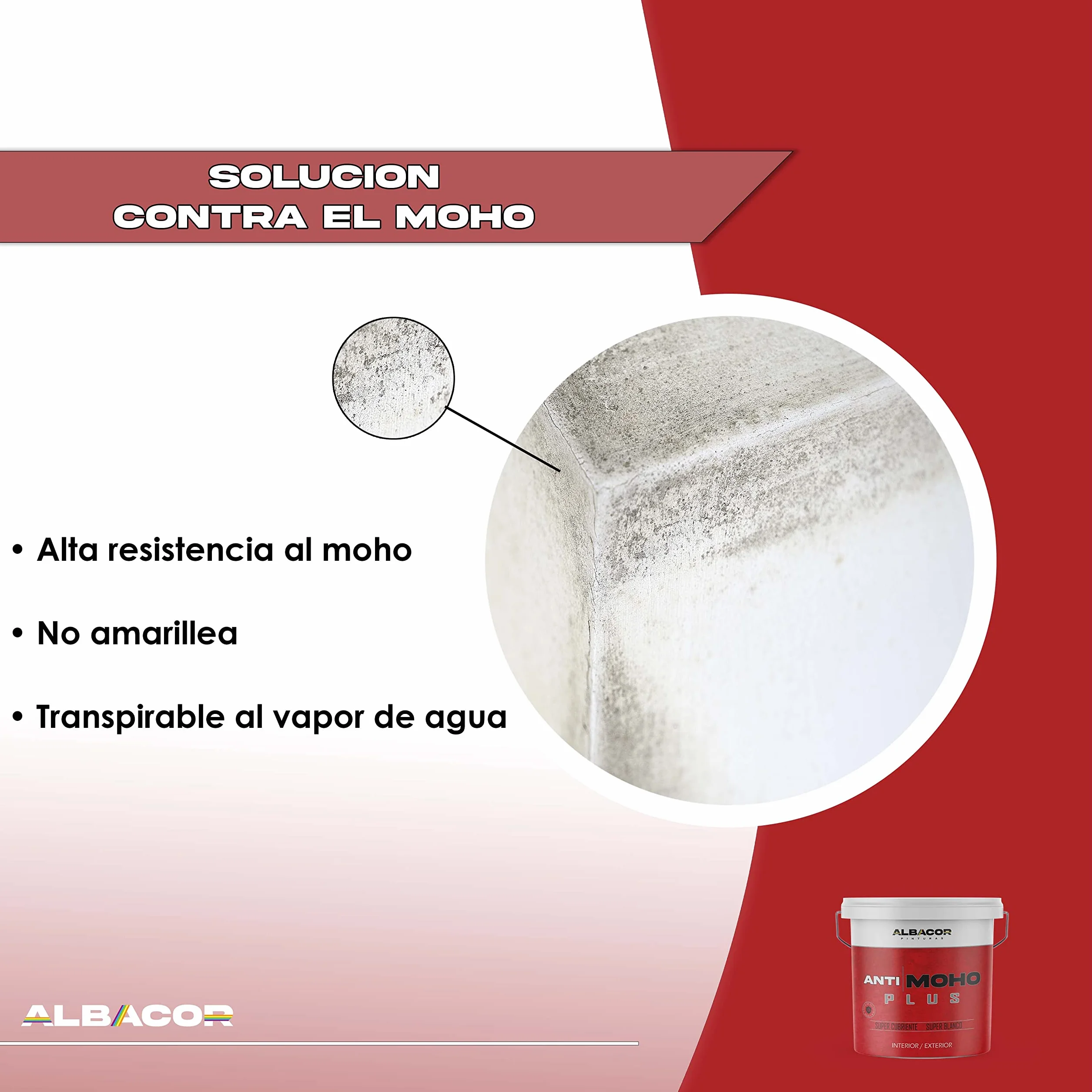 ALBACOR Pintura Blanca Antimoho Plus 5KG Anticondensación Liso Mate Antihumedad