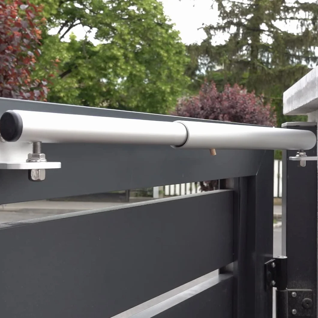 Cierrapuertas Camelion GTS 120/170 Soft Close hidráulico para puerta extorior de hasta 100 cm aluminio anodizio