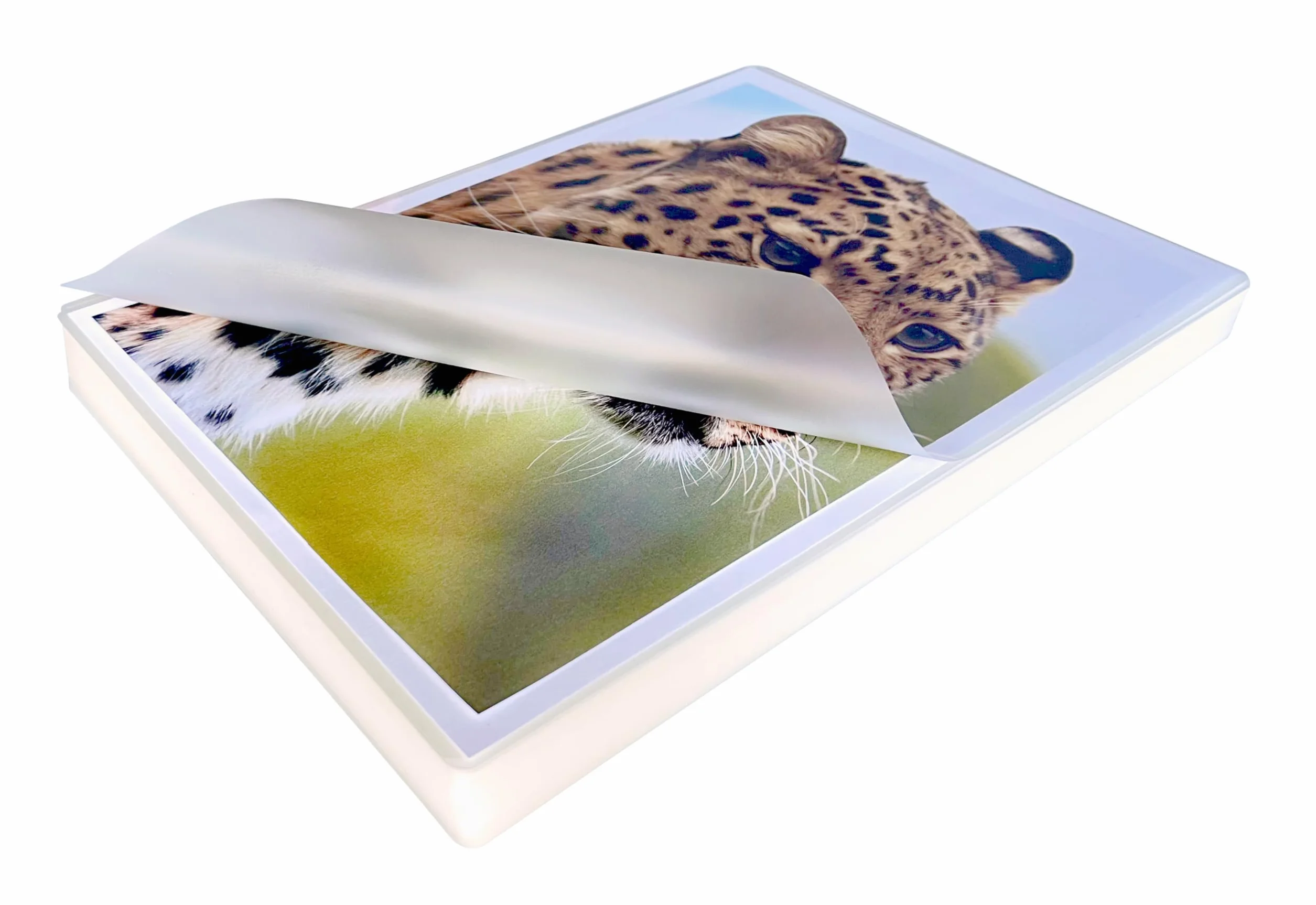 Pavo Fundas de Plastificar A4 2x100 mic Brillo 100 Hojas