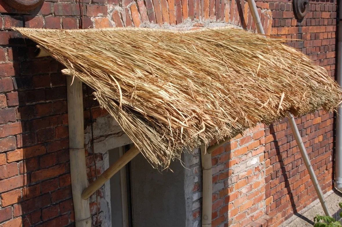 Lote de 20 Panels Natural para tejado de Palma (115 cm) tejado exótico, Refugio jardín, Gazebo, sombrilla pergola (20x12111)