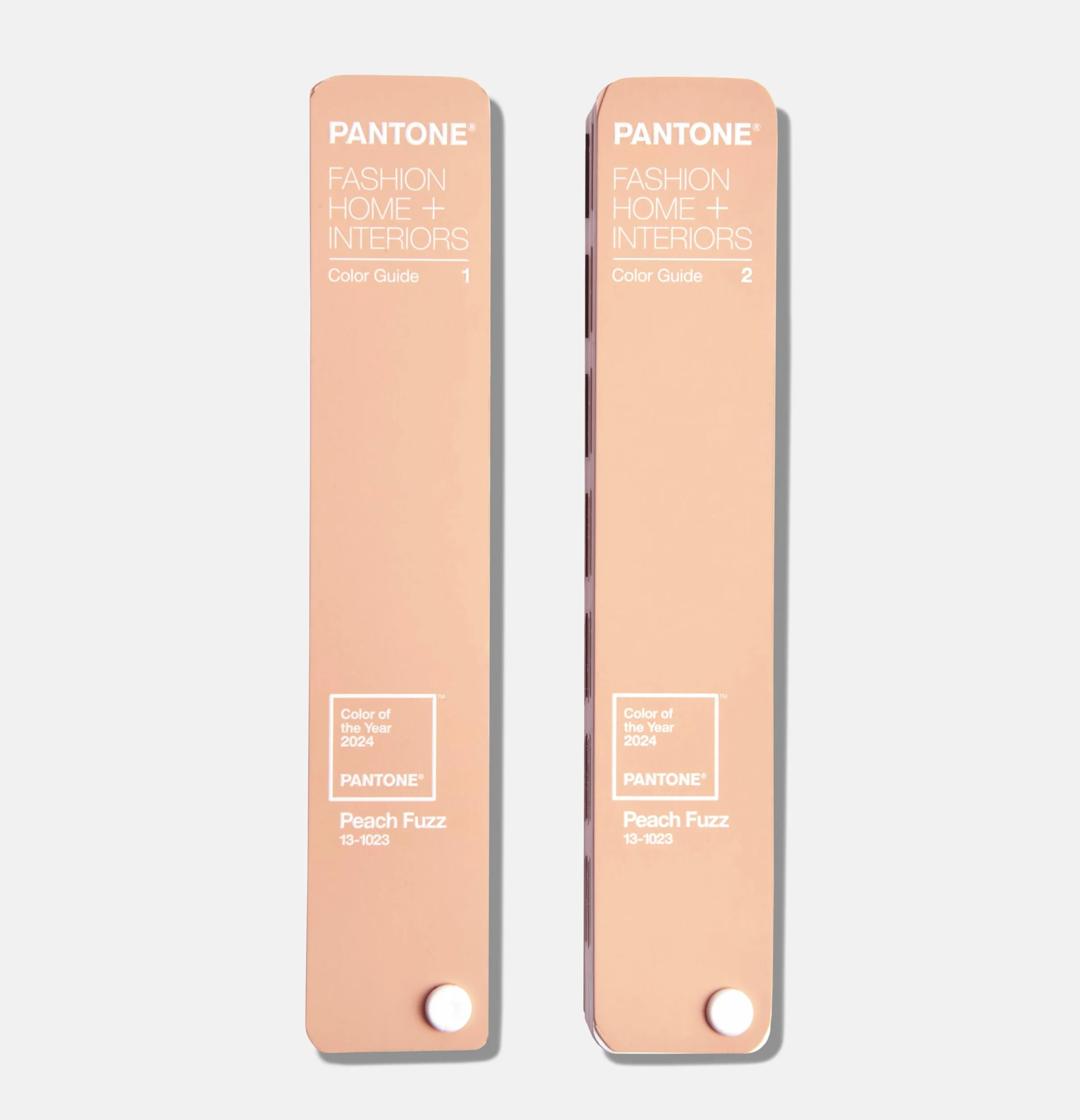 Pantone FHI Color Guide, Limited Edition Color of the Year 2024
