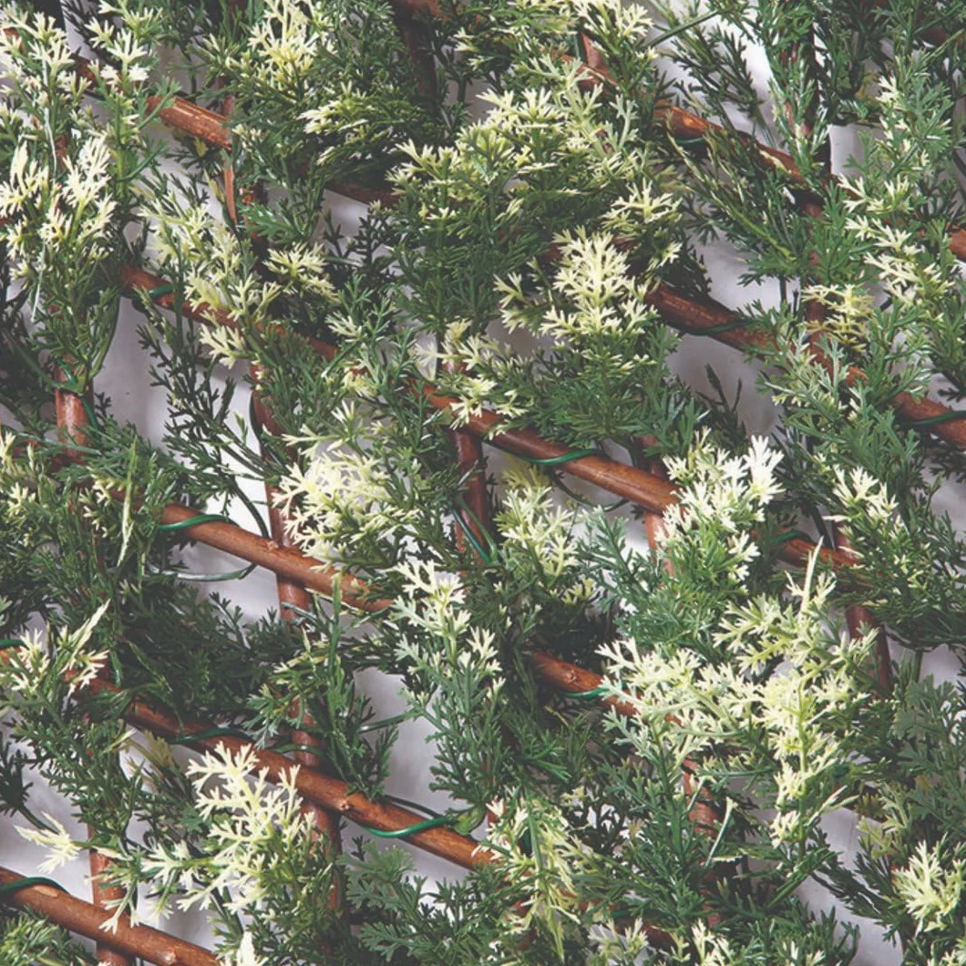 Nortene | Celosia Extensible Mimbre Ciprés | Decoración Exterior | Cerramientos Ambientes Modernos