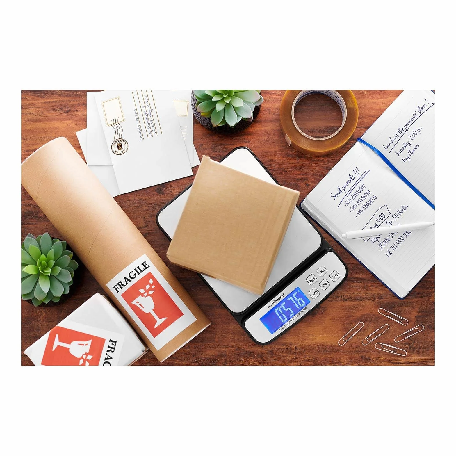 Steinberg Systems Balanza Pesacartas Digital Báscula Para Correo SBS-PT-50000 198x180 mm 5-50 kg Precisión 1 g