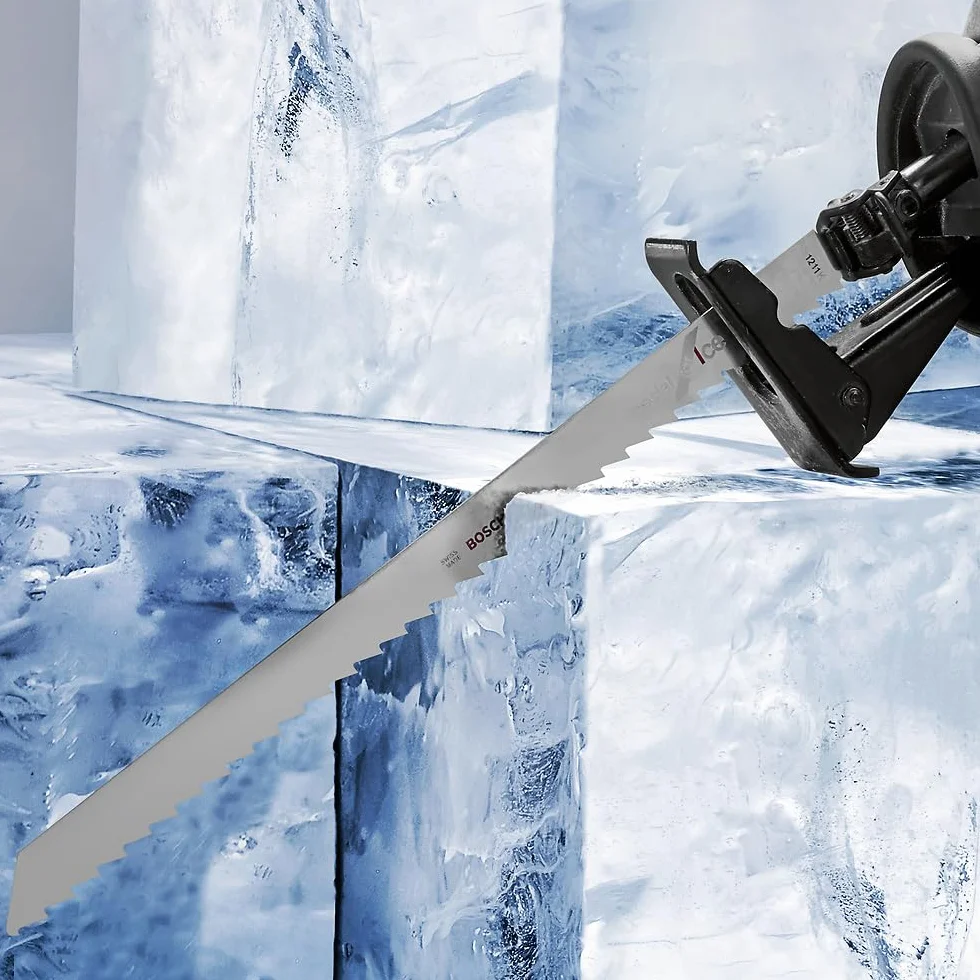 Bosch Professional Hoja de sierra sable S 1211 K Special for Ice 300 x 19 x 1.25 mm