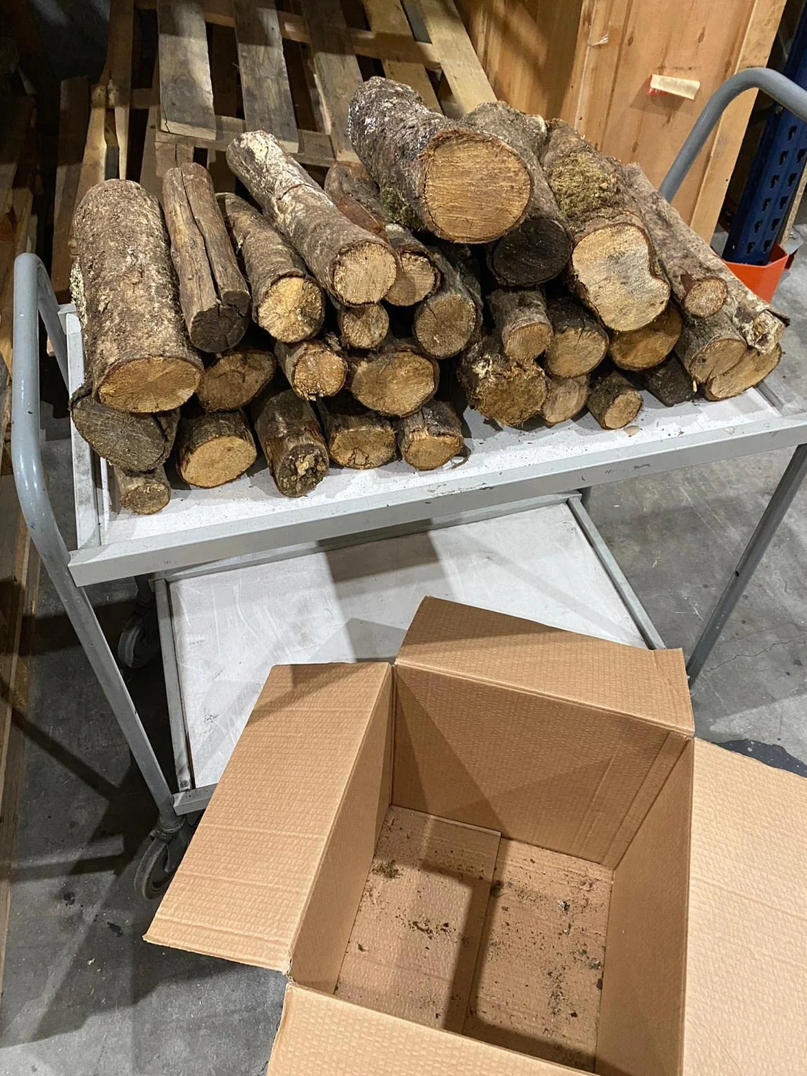 Jandei - Leña de Roble (24Kg) Tronco Mediano 30-40cm. Totalmente Seca, para Chimeneas, Barbacoas, Calderas, Estufas y Cocinas. Origen España, Marrón, JNM-0001