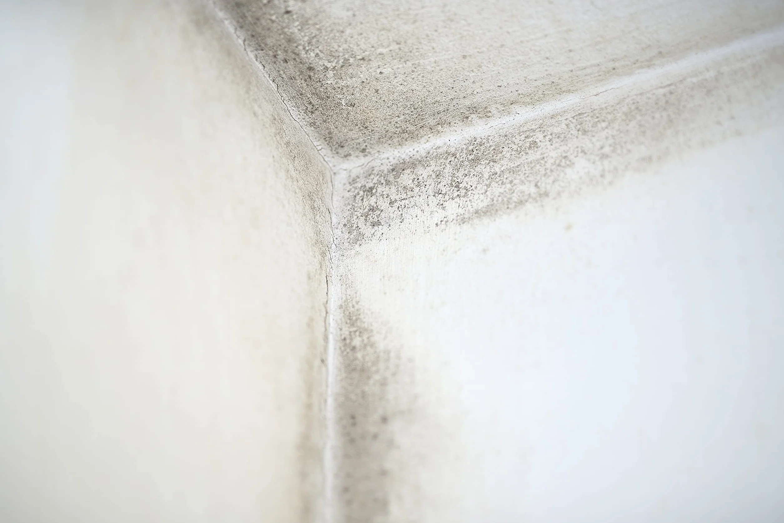 ALBACOR Pintura Blanca Antimoho Plus 5KG Anticondensación Liso Mate Antihumedad