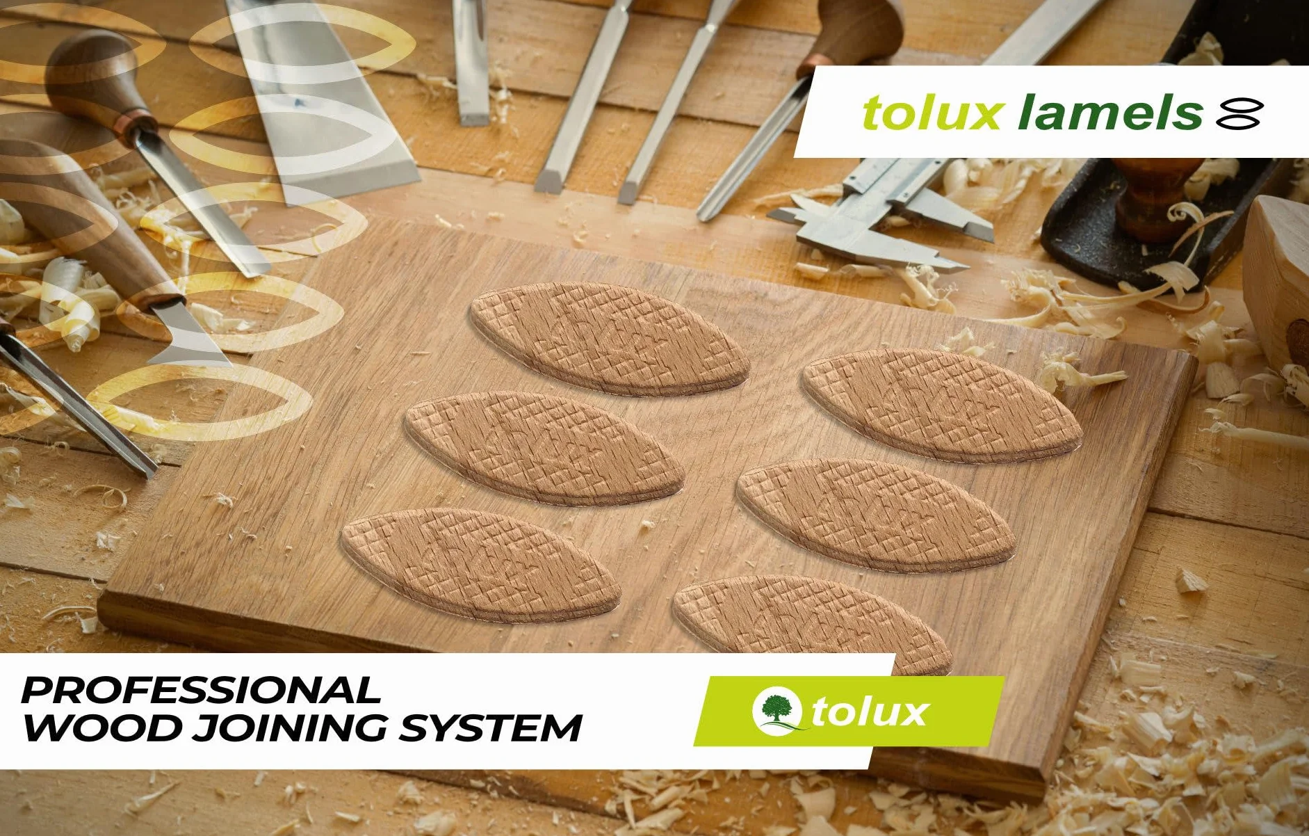 Tolux Galletas de Madera tamaño número 20, Pack de 1000 piezas, Galletas de Lamello, Galletas de Ensamble, Clavijas de Madera de Haya de la para Carpinteros y proyectos de bricolaje