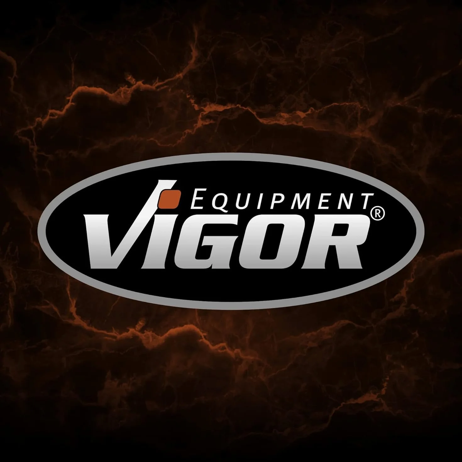 Juego de rascadores ViGOR V6030 I Juego de 16 piezas con cuchillas de diferentes anchos incl. cuchillas de recambioI Herramienta para quitar pegatinas, adhesivos, viñetas o en la cocina y el hogar