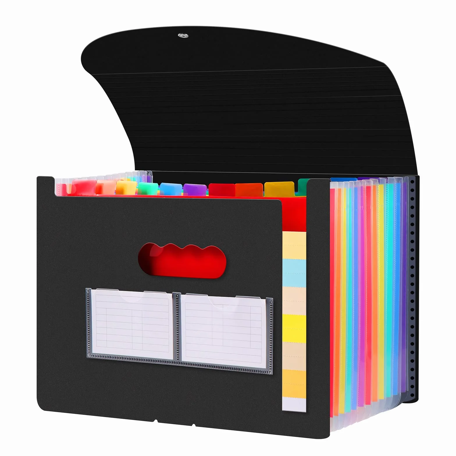 Diboniur Carpeta Acordeón A4 12 Bolsillos Organizador de Archivos Expandible para Oficina Escuela Negro