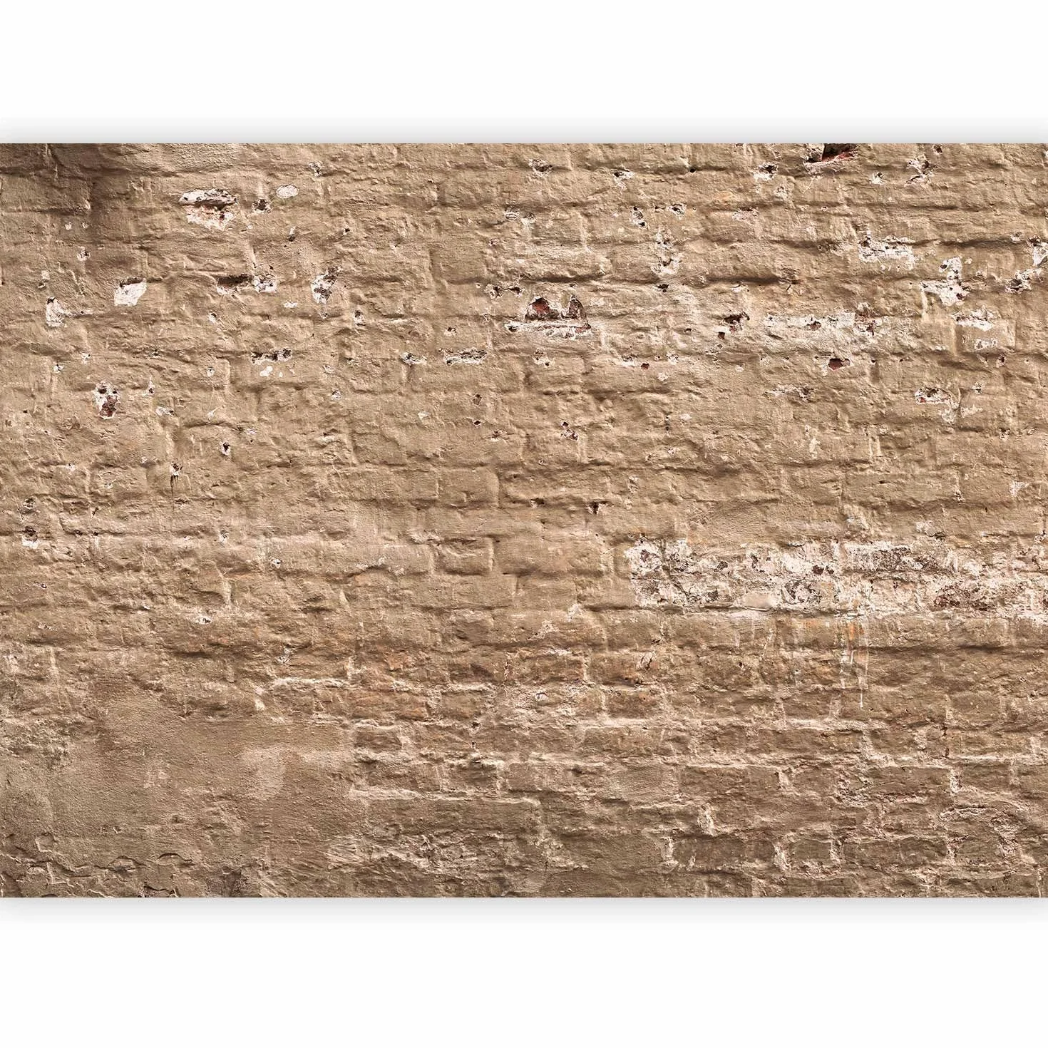 murando Fotomurales 400x280 cm Papel pintado tejido no tejido Decoración de Pared decorativos Murales moderna Diseno Fotográfico Ladrillo f-A-0507-a-c