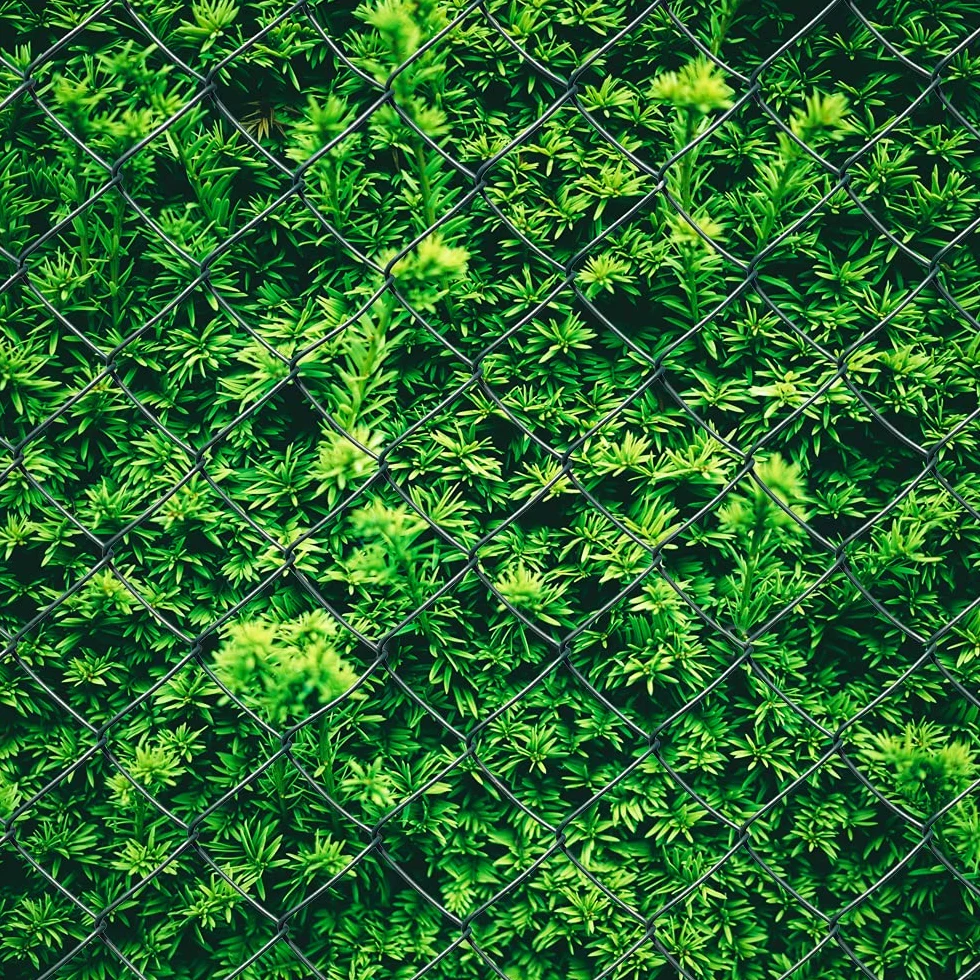 Valla de malla de alambre recubierto de PVC, color verde, alambre de 2,8 mm de diámetro, malla de 60 x 60 mm, malla cuadrada, altura: 80 cm, longitud: 15 m