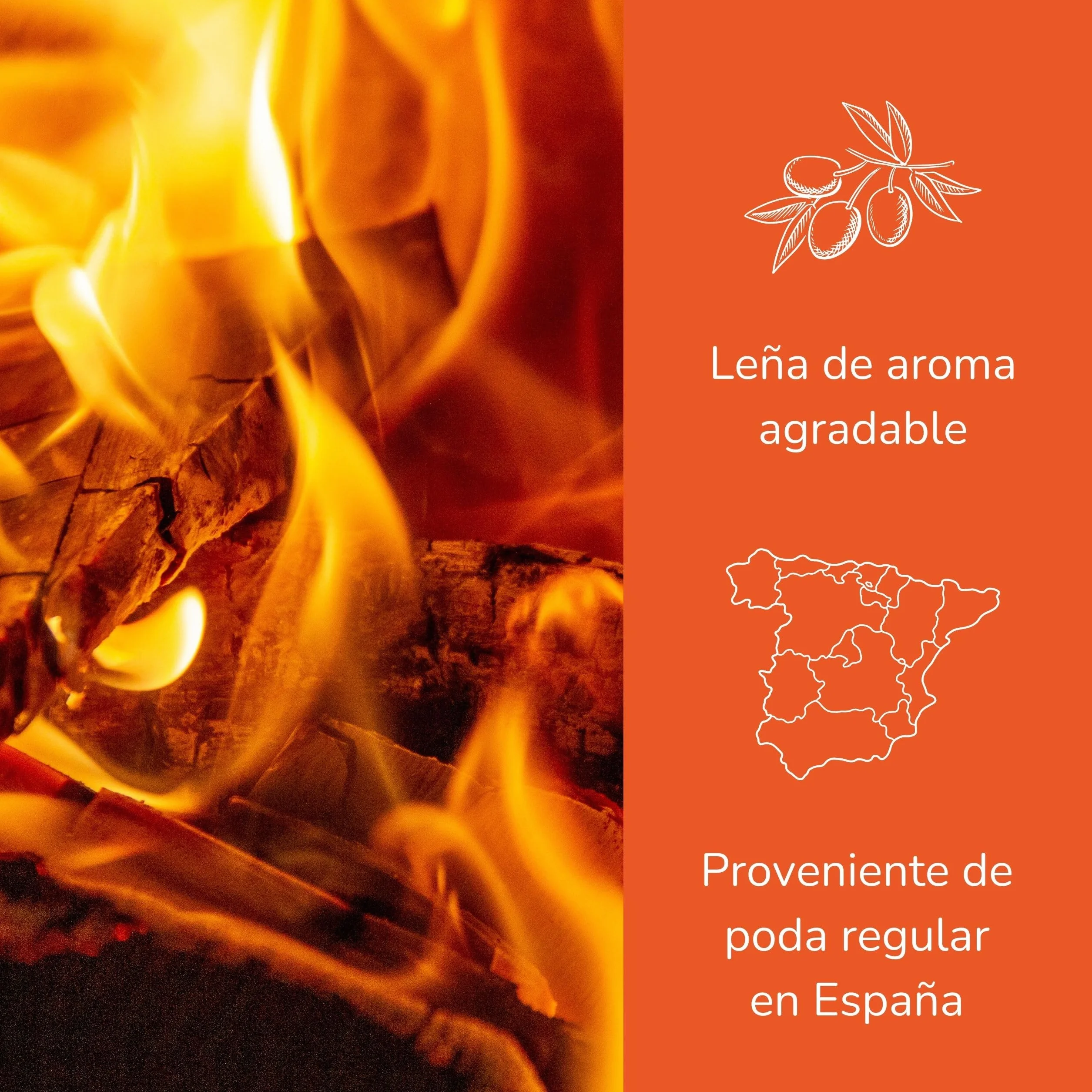 Leña de Olivo 25kg para Chimenea, Estufa, Barbacoa, Horno - Alto Poder Calorífico