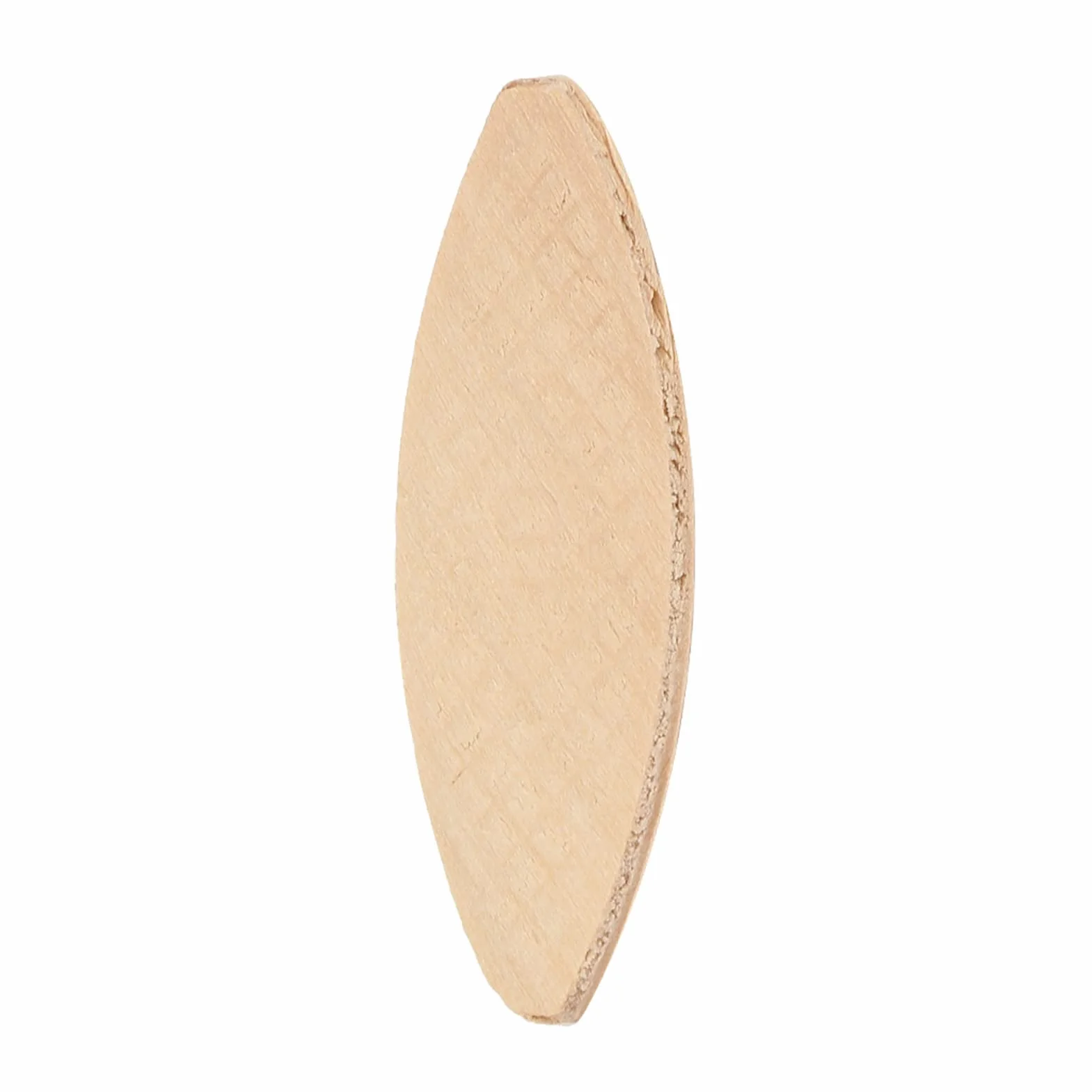 Unión DE Madera DE 100 Piezas, Galletas 0 10 20 BAECH TOED TODA DE COMPAJE ACCESORIOS PLACE ACCESORIOS BISCURA (10#)