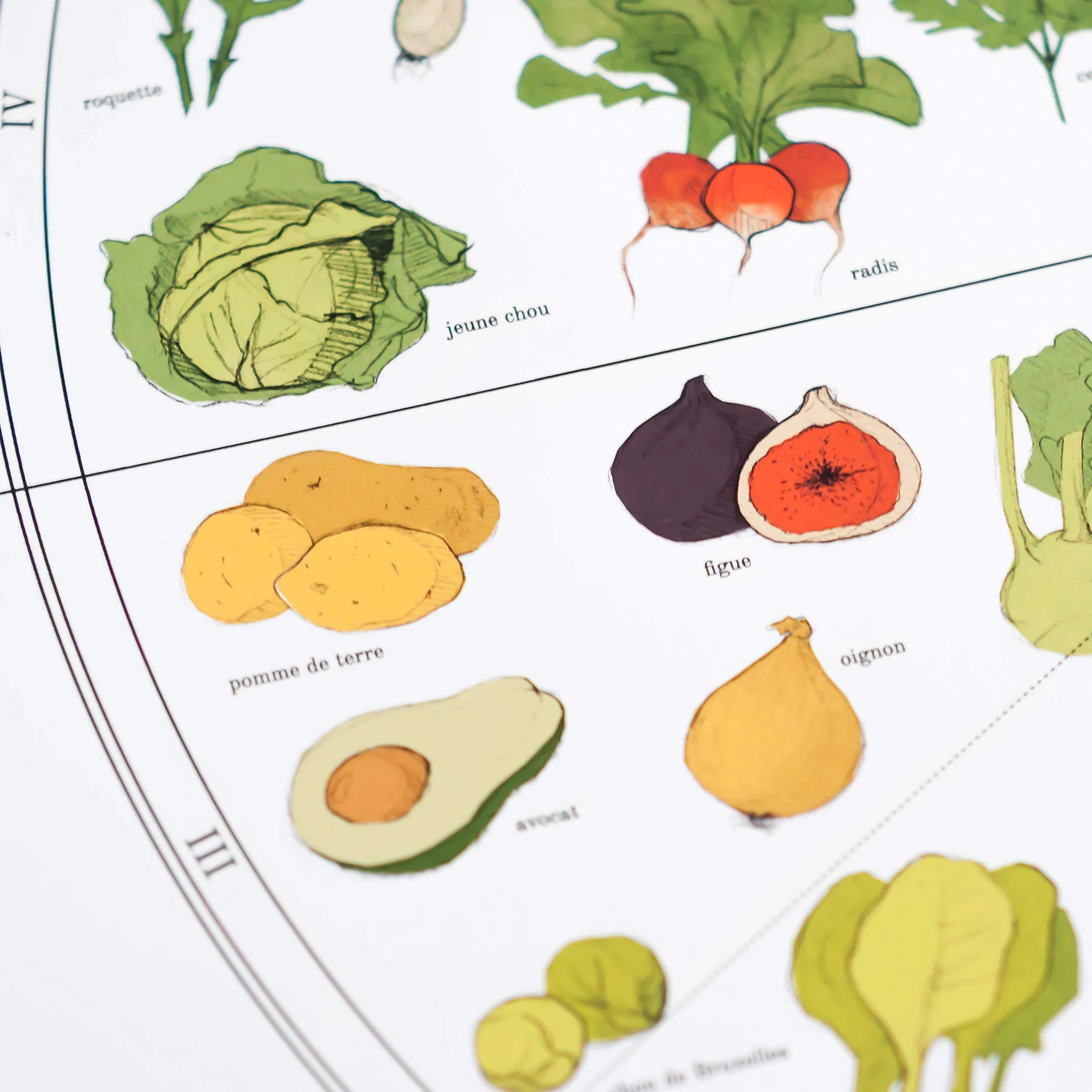Póster de frutas y verduras de temporada