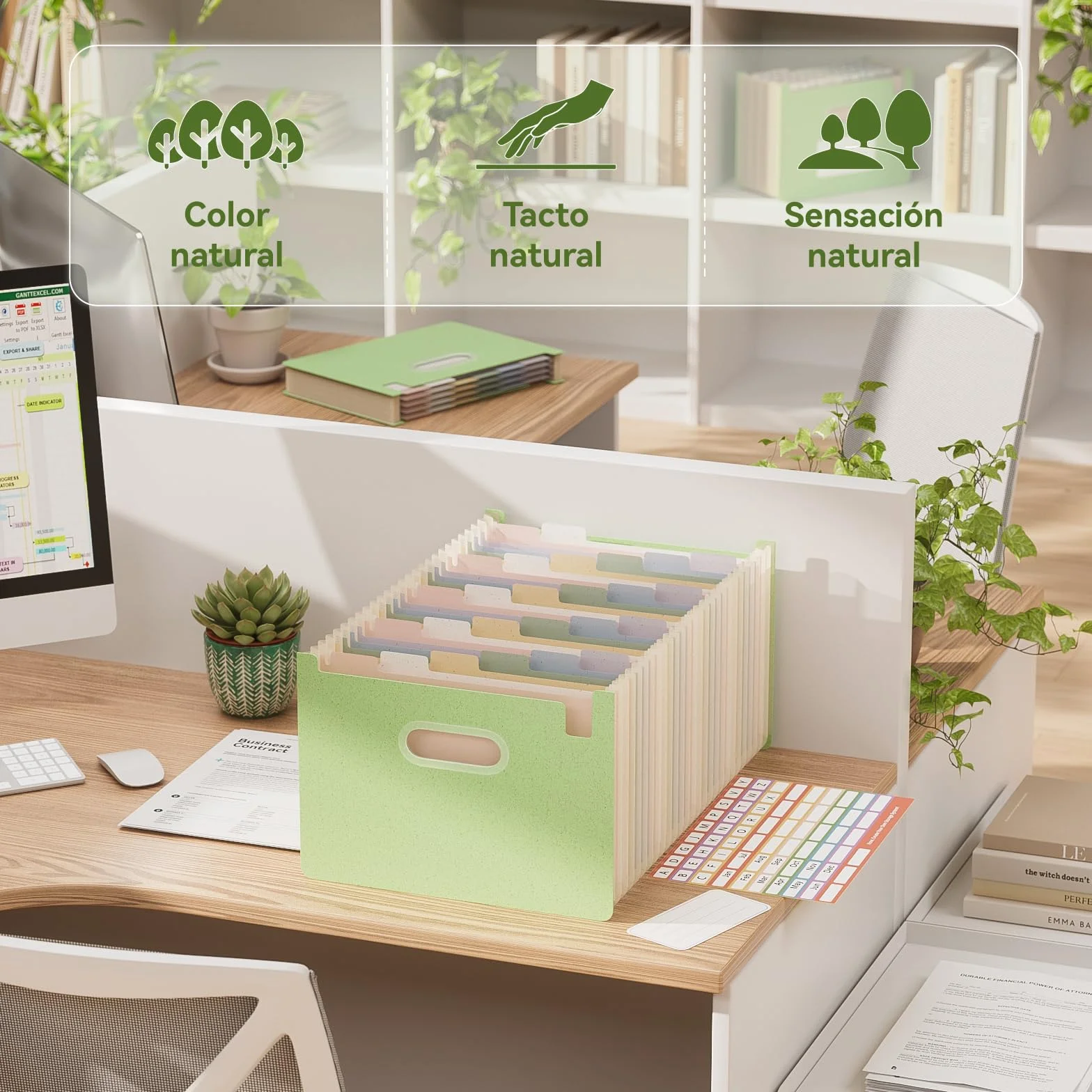 EcoStash Carpeta Clasificadora Acordeón 26 Bolsillos Archivador A4 Paja de Trigo Clasificador Documentos Expandibles Vertical Libre de BPA Verde Menta
