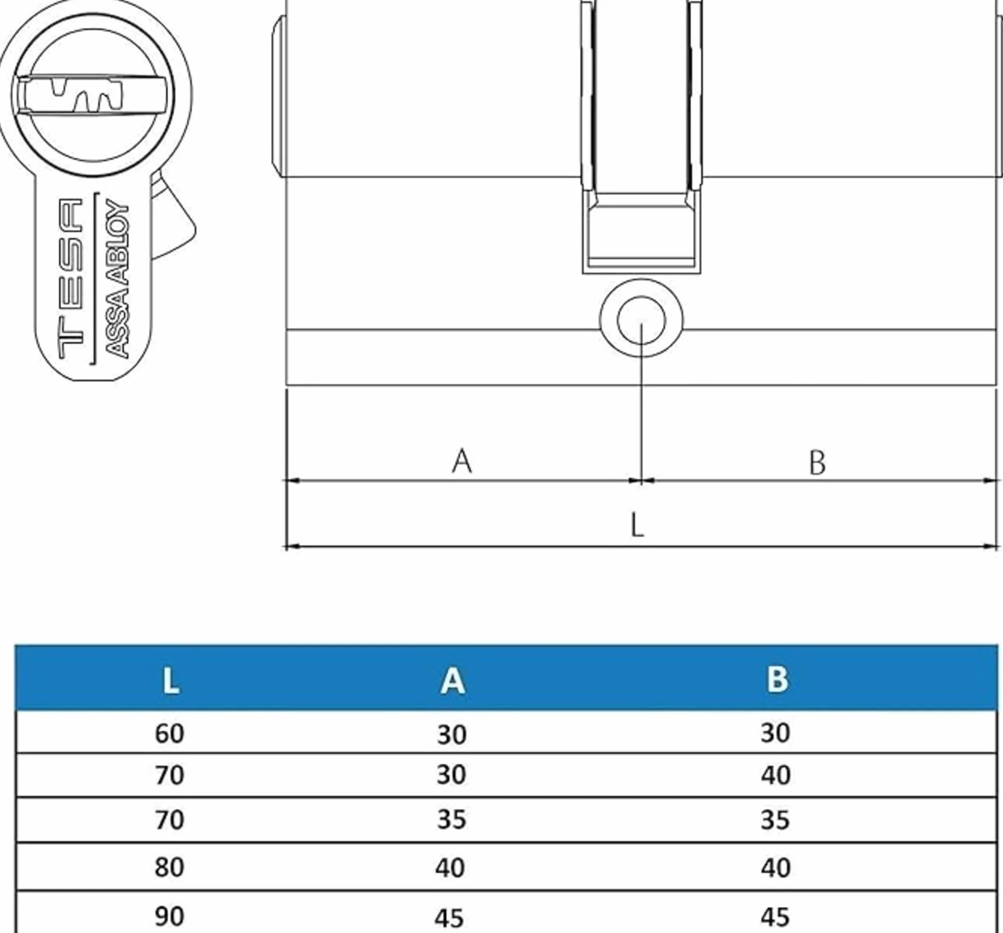 Tesa Seguridad T60 - Cilindro de llave plana reversible, Latonado, 30x30 mm