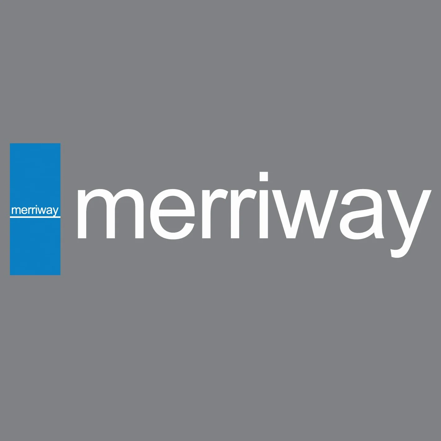Merriway BH03120 - Empalme Biscuit No 20 (Paquete De 50)
