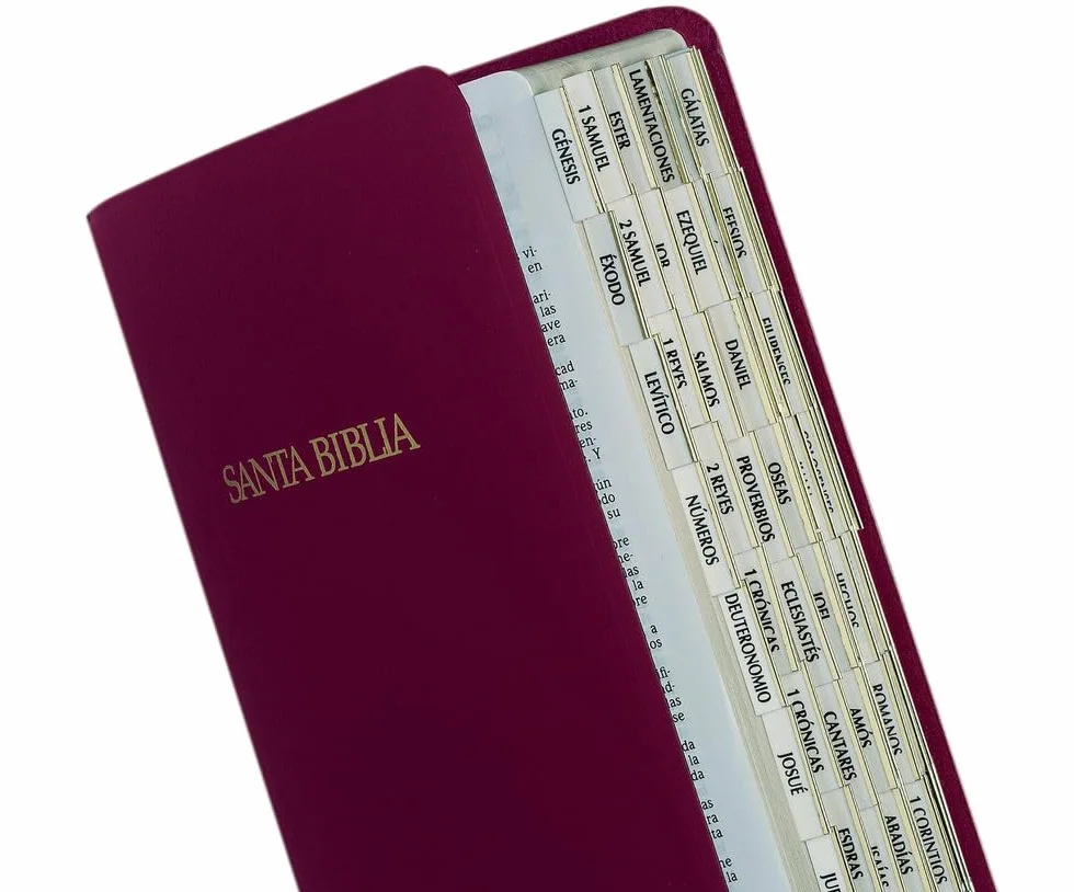 Tabbies Pestañas de indexación bíblica española doradas, Antiguo y Nuevo Testamento, 80 pestañas