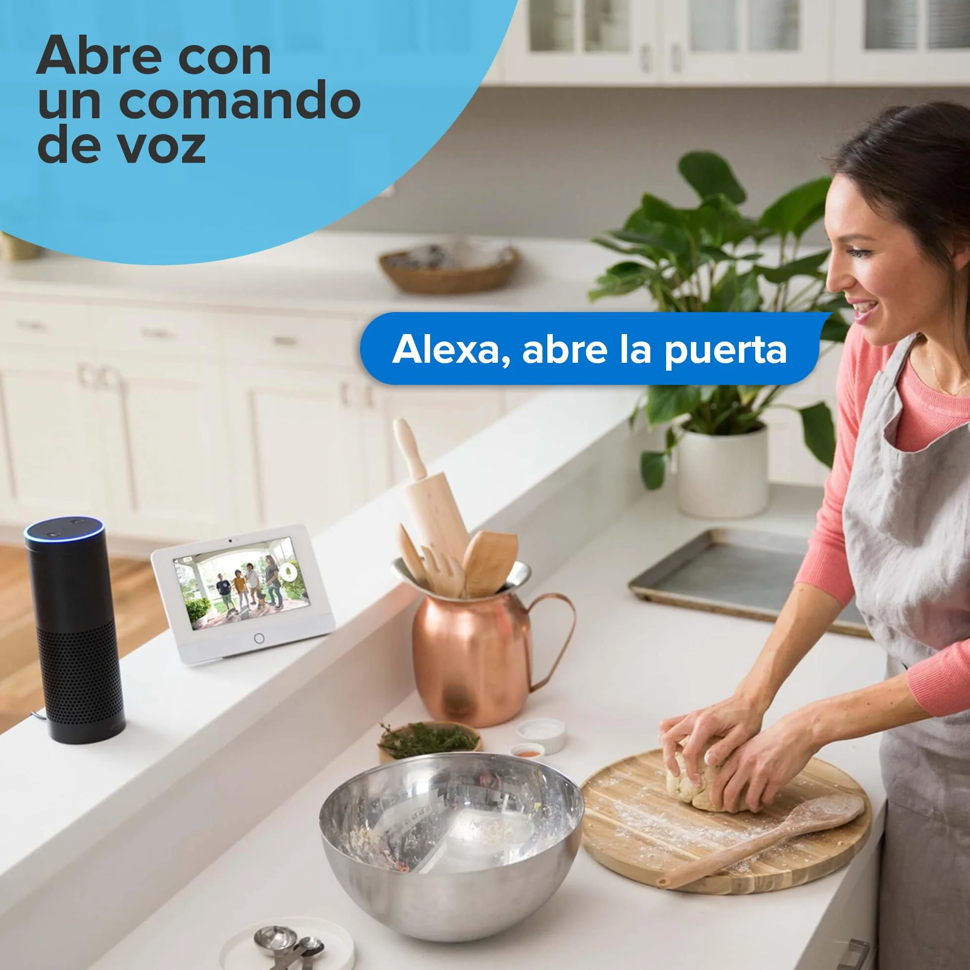 1Control Link Accesorio Wi-Fi Apertura Remota y Comandos Vocales Compatible con Abridor de Puerta y Garaje Solo de 2ª Generación, Alexa, Google Home y Siri, Made in Italy