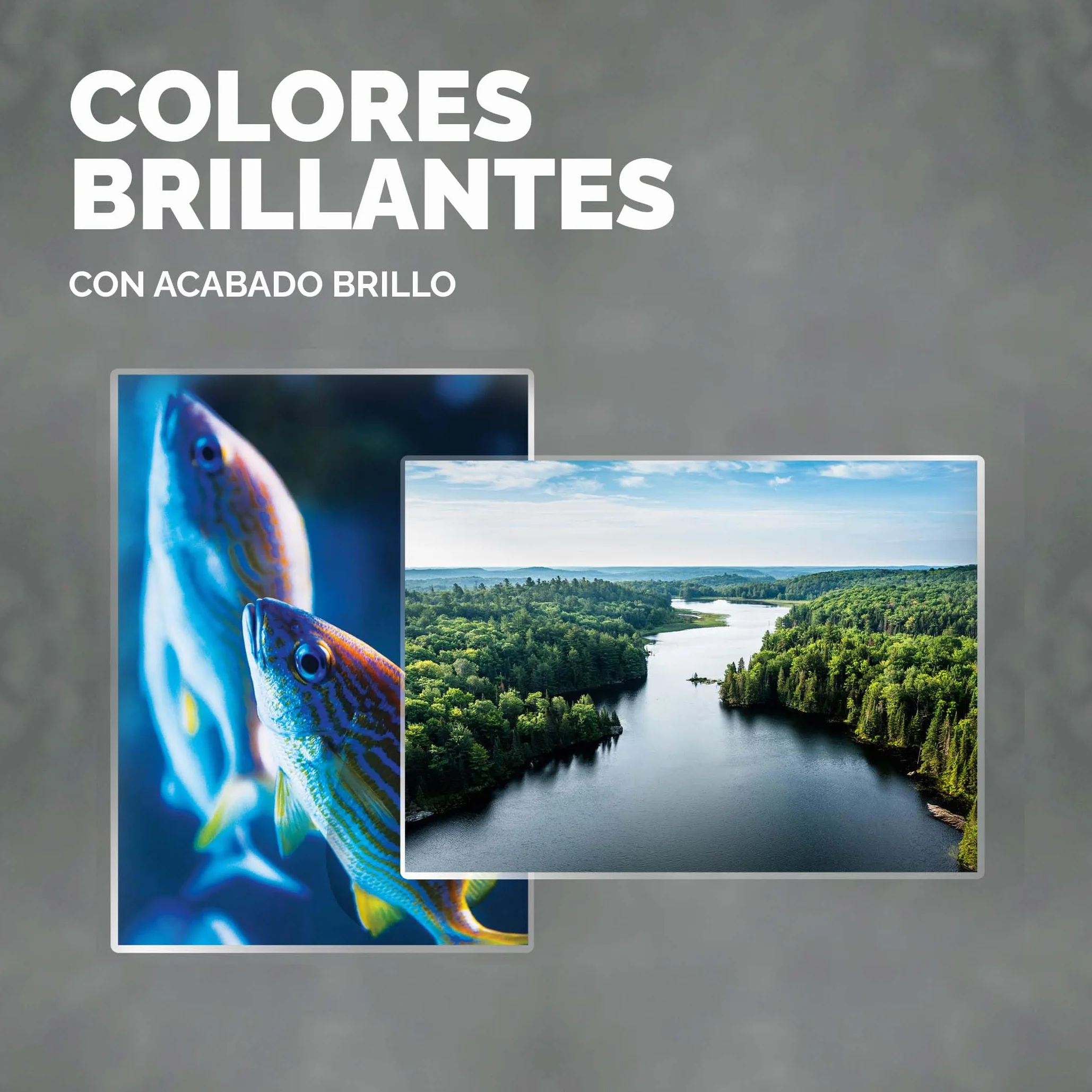 Fellowes Fundas de Plastificar 54x86mm 250 micras 100 hojas brillo