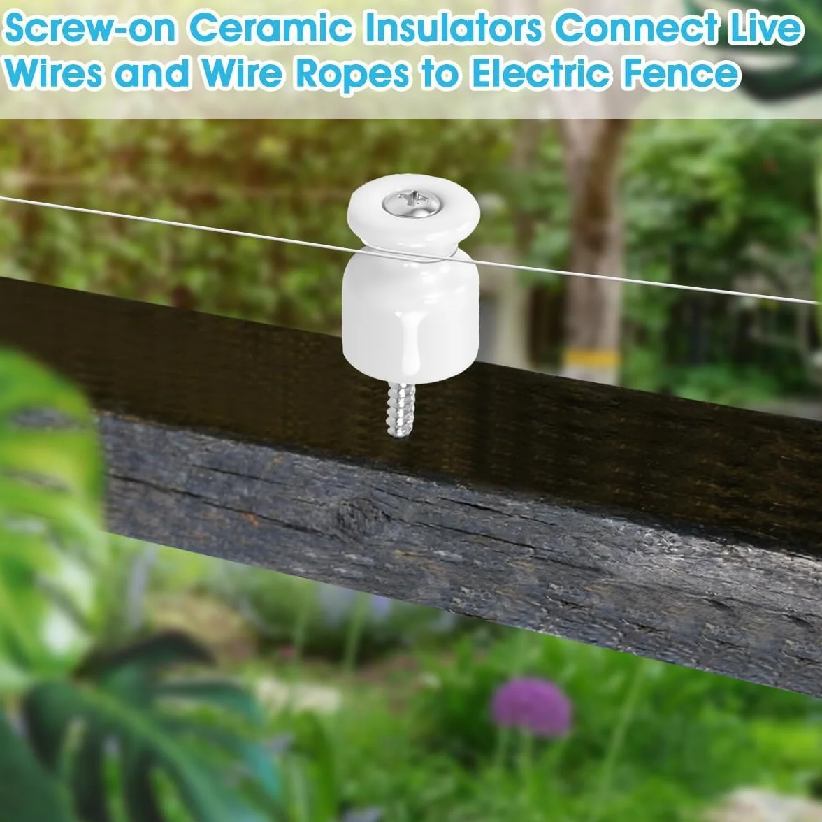 50PCS Aisladores de Porcelana para Cable Trenzado Ø19 mm, Abrazadera Cable Porcelana, Aisladores de Ceramica Blanco, Aislante dePorcelana con Tornillos y Tacos para Seguridad deCable Eléctrico