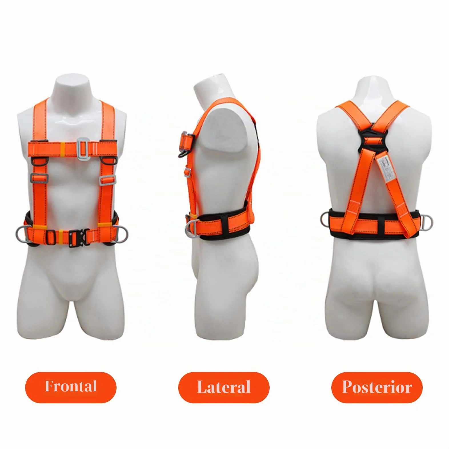 Kit de Arnés de Seguridad Anticaídas, 100 kg, Soporte Vientre Engrosado, Hebilla Grande 1,6 m
