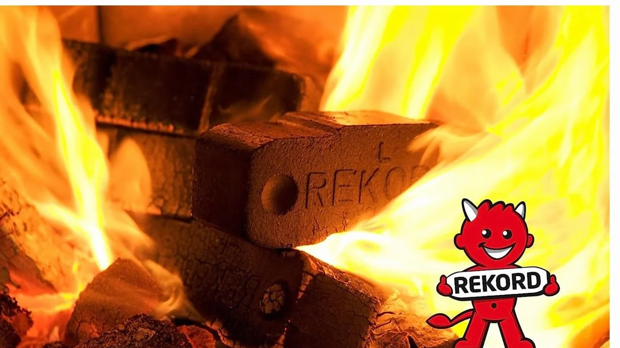 Briquetas de carbón 25 kg Lausitzer Energie Kienbacher para chimenea calor